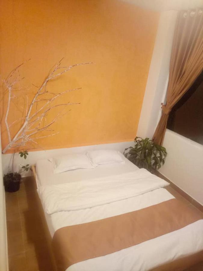 Homestay Dia Du ダラット エクステリア 写真